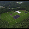 Japanese Matcha Harvest Seasons Explained: From First Flush to Your Cup