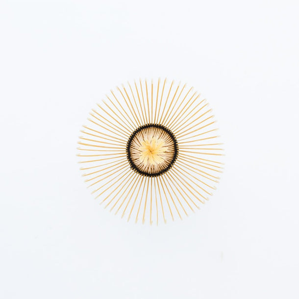 CHASEN SHIN Takayama Japanese Made Whisk - Purematcha Australia