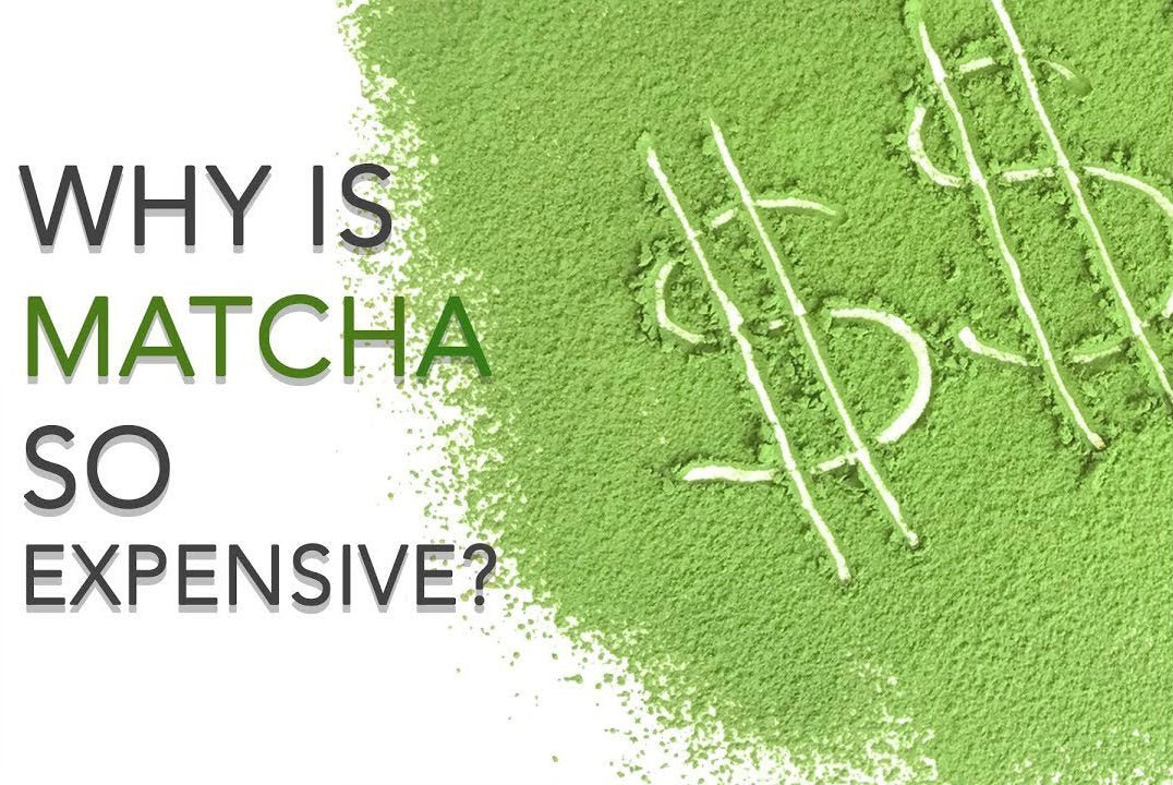 Why is Matcha so expensive?