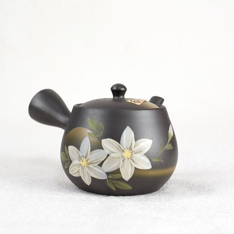 HANA Handpainted Tokoname Japanese Teapot (400ml)