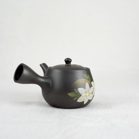 HANA Handpainted Tokoname Japanese Teapot (400ml)