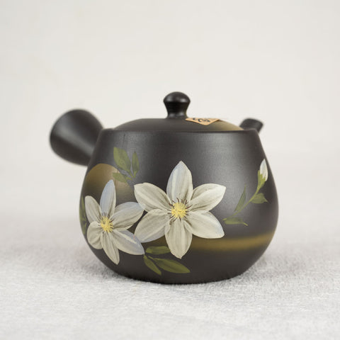 HANA Handpainted Tokoname Japanese Teapot (400ml)