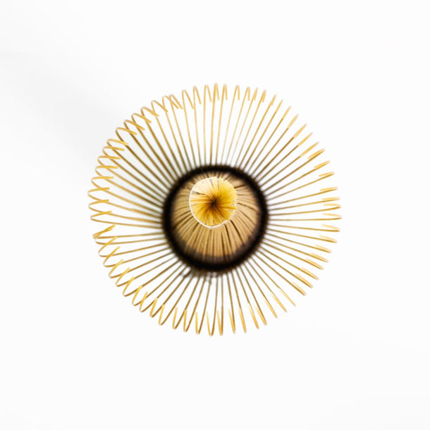 Matcha whisk displaying tines up close.