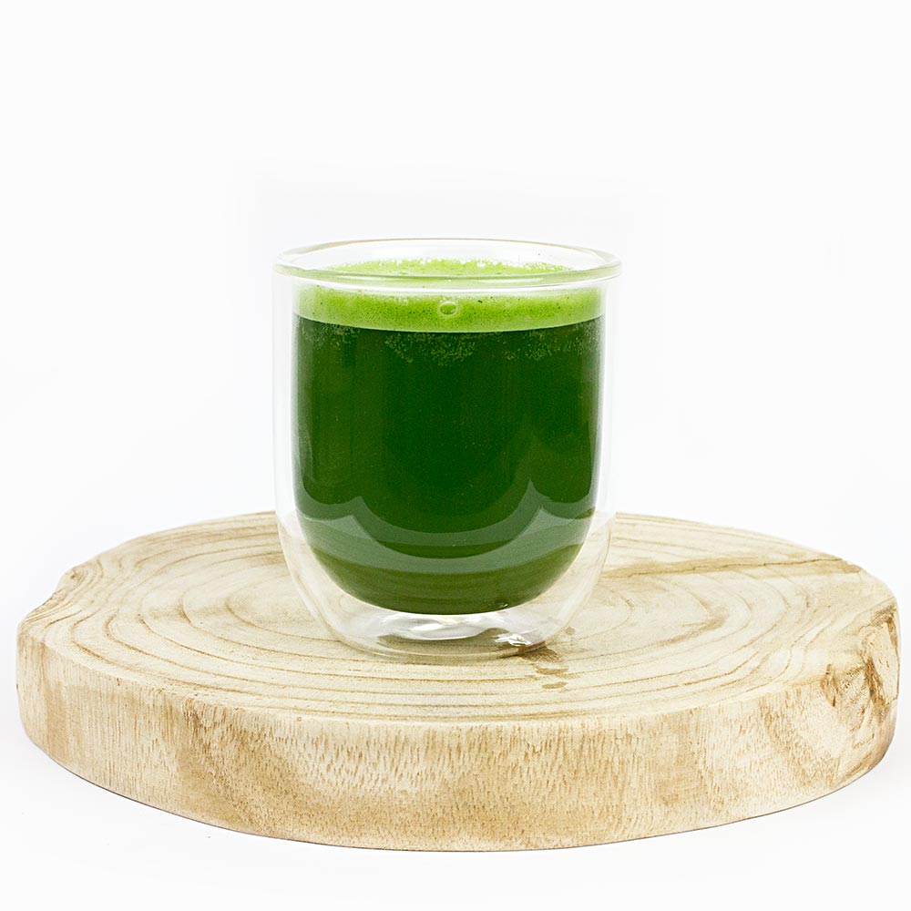 330ml Double Wall Glass Mug (Handleless Glass) - Purematcha Australia