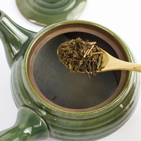 Chestnut Wood Tea Spoon (Made in Japan) - Purematcha Australia