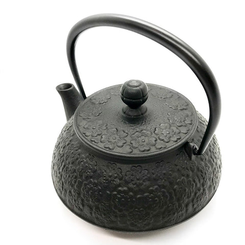 NAMBU Tetsubin Direct Flame Cast Iron Teapot - Purematcha Australia
