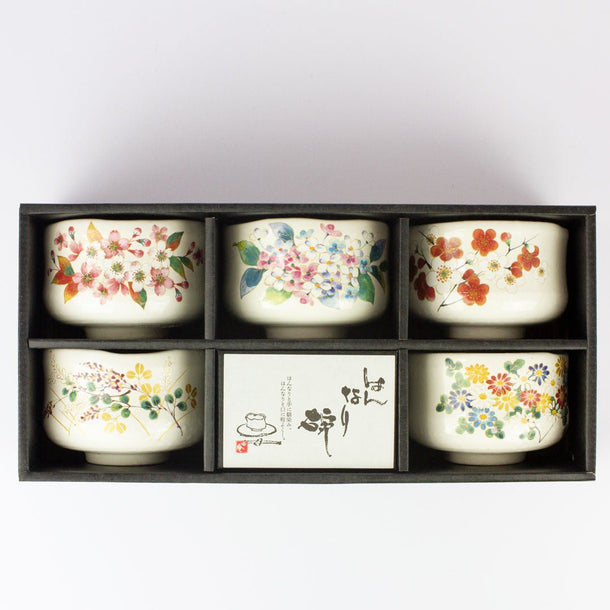 Set of 5 Matcha Tea Bowls (250ml) - Made in Japan - Purematcha Australia