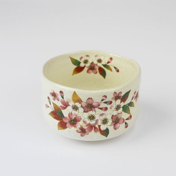 Set of 5 Matcha Tea Bowls (250ml) - Made in Japan - Purematcha Australia