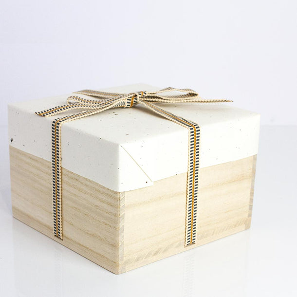 TOMOBAKO Swirling Brush Chawan - Purematcha Australia