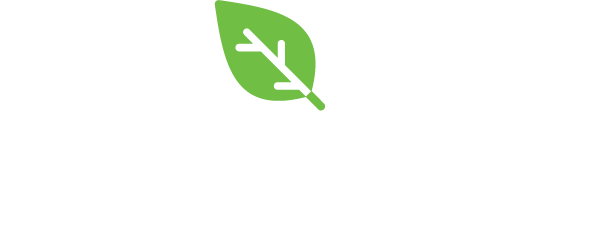 Purematcha